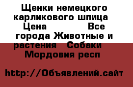 Щенки немецкого карликового шпица › Цена ­ 20 000 - Все города Животные и растения » Собаки   . Мордовия респ.